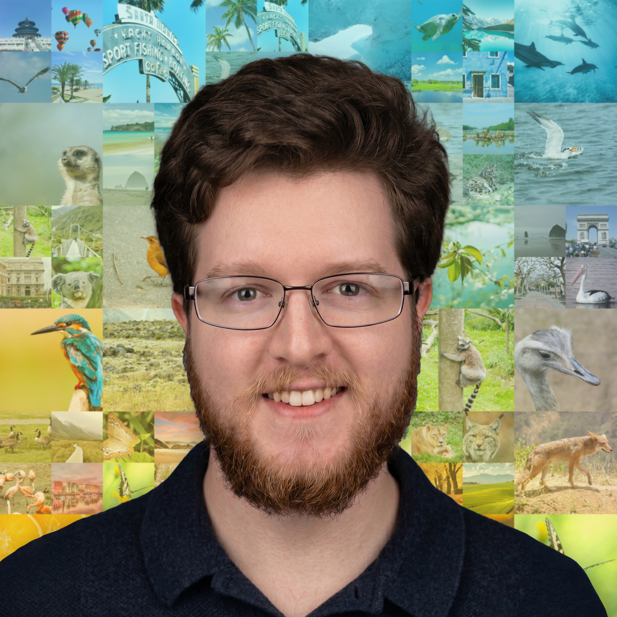 Photo of Shane Roman, Lead Designer